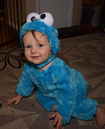 Cookie Monster Costume