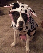 Cow Dog Costume