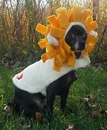 Cowardly Lion Dog Homemade Costume