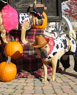 Cowboy and Cowgirl Dogs Homemade Costume