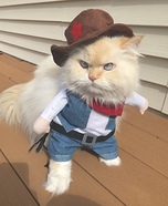 Cowboy Cat Costume