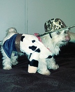 Cowboy Dog Costume