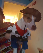 Cowboy Dog Costume