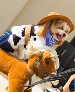Cowboy Dog Halloween Costume