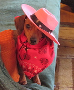 Cowgirl Dog Homemade Costume