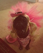 Cowgirl Princess Dog Homemade Costume