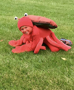 Crab Homemade Costume