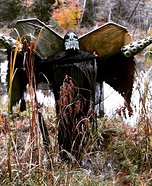 Cthulhu Homemade Costume