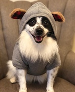 Cuddle Bear Dog Homemade Costume