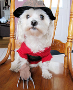 Freddy Krueger Costume for Dogs