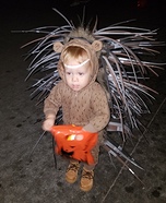 Cute Baby Porcupine Homemade Costume