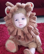 Cute Li'l Lion Costume