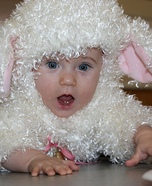 Cutest Little Lamb Costume