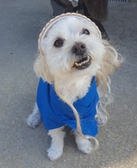 Daenerys Targaryen - Game of Thrones Dog Homemade Costume