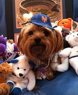 Homemade David Wright Costume