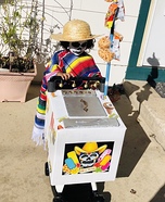 Day of the Dead Paletero Man Homemade Costume