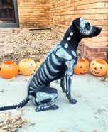 Death Dog Homemade Costume