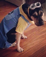Despicable Me Minion Dogs Costume