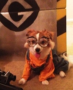 Despicable Me Minion Dog Costume