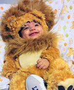 Detroit Lion Baby Halloween Costume