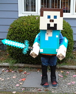 Diamond Minecraft Steve Homemade Costume
