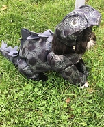 DinoDog Costume