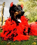 DoberDevil Homemade Costume