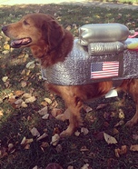 Dog Astronaut Homemade Costume
