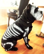 Dog Bones Homemade Costume