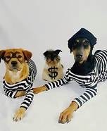 Dog Burglars Homemade Costume