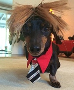 Dogald Trump Homemade Costume