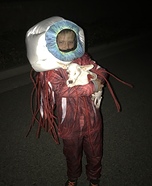 Dog's Eyeball Homemade Costume
