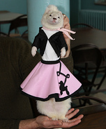 Doo Wop Pet Costume