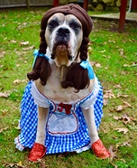 Dorothy Dog Costume