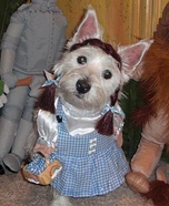 Dorothy Gale Dog Costume