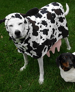 Down on the Farm Dogs Homemade Costume