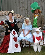 Alice in Wonderland Family Costume