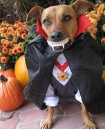 Drac-u-dog and Boo Dogs Costumes