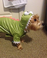 Dragon Costume for Dogs