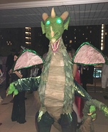Dragon Homemade Costume