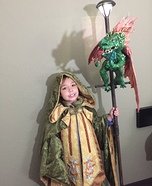 Dragon Master Wizard Homemade Costume