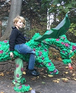 Dragon Rider Homemade Costume