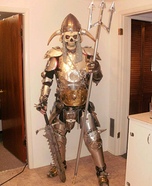 Dragon Slayer Homemade Costume