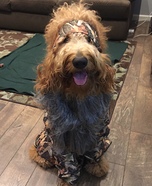 Duck Dynasty Dog Homemade Costume