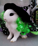 Dwarf Hotot Bunny Witch Homemade Costume