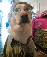 Homemade Dwight Schrute Dog Costume