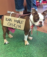 Eat Mor Chikin Homemade Costume