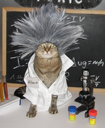 Einstein Homemade Costume