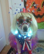 Election Girl Dog and Cat Costumes