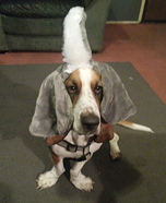 Elephant Costume for Dogs
